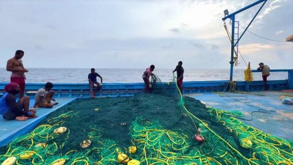 Hunting Ocean Giants – 10+ Minute Gulf Deep Sea Expedition