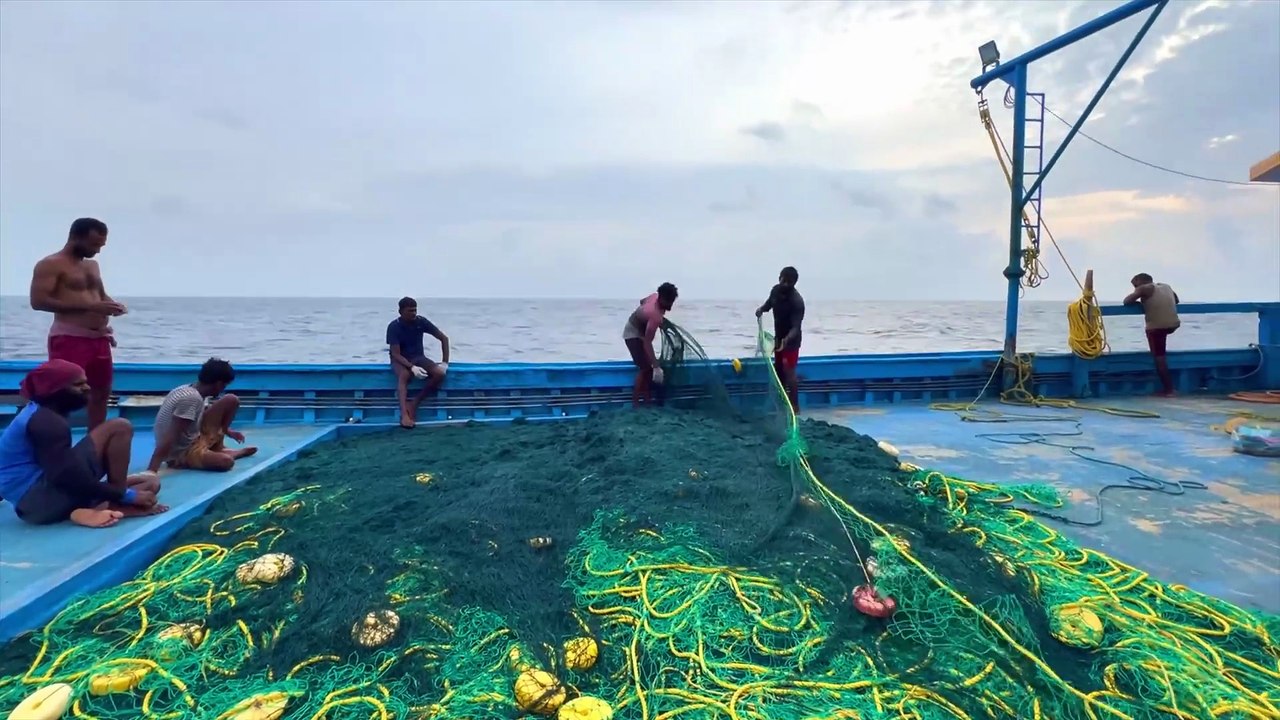 Hunting Ocean Giants – 10+ Minute Gulf Deep Sea Expedition