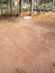 O tempo como conhecemos não existe tudo é atemporal presente passado futuro tudo agora.