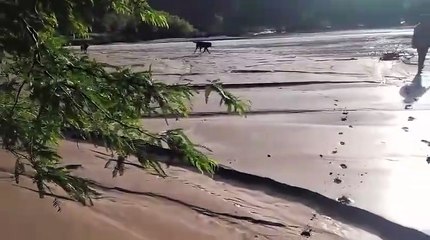 crecida del rio de la vina que inundo fincas aledanas.mp4