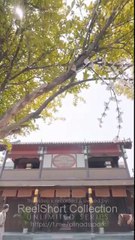 A Mother's Wait: Mom, Dad, I'm Back