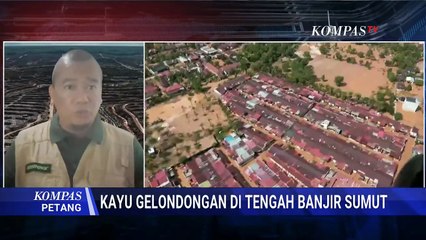 Blak-Blakan! Greenpeace Ungkap Fakta di Balik Kayu Gelondongan saat Banjir Terjang Sumut