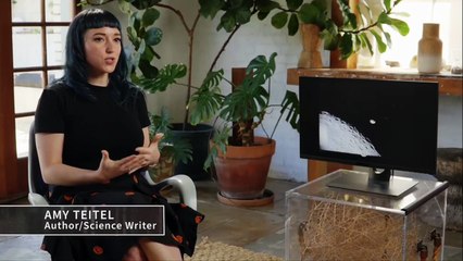 The Proof Is Out There S05E18