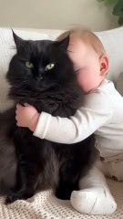 Cat Trapped Under Babys Hug  #ai #baby #cat #cute #viralreels