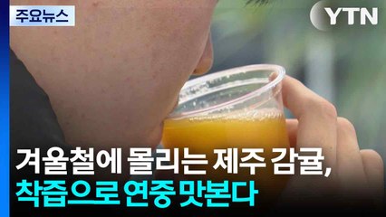 [新농비] 겨울철에 몰리는 제주 감귤, 착즙으로 연중 맛본다 / YTN