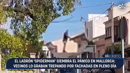 El ladrón 'Spiderman’ siembra el pánico en Mallorca: vecinos lo graban trepando por fachadas en pleno día