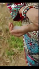 Tears Among the Blossoms Full Movie Good