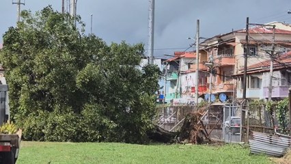 Fuertes vientos dejan afectaciones en Colón