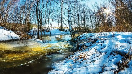 Зимняя песня о растаявшем снеге