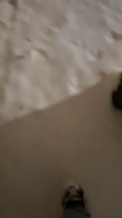 snowy day