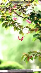 I Run Eternity All Bow to Me Full Movie Eng Sub Chinese Drama