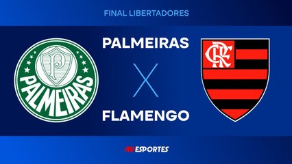 Palmeiras 0 x 1 Flamengo - 29/11/2025 - Final da Libertadores