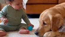 The baby is playing happily and joyfully with the dog! 🐶❤️ Moments full of joy and fun! #dog #baby #ai #fun