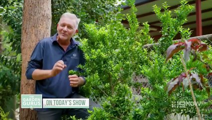 The Garden Gurus - Season 39 Episode 16