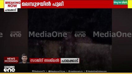 പാലക്കാട് മലമ്പുഴ സർക്കാർ വിദ്യാലയത്തിന് സമീപം പുലി; പ്രദേശവാസികൾ ആശങ്കയിൽ