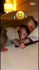 Baby Monkey Prank Gone Wrong - Angry Mom Smashes Phone