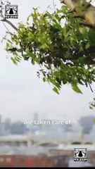 How to Land a Movie Star Full Movie_RS