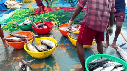 Gulf Tides of Power — Battling the Deep-Sea Titans