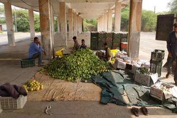 swm: हर साल गुलजार रहने वाली अमरूद मंडी इस बार वीरान