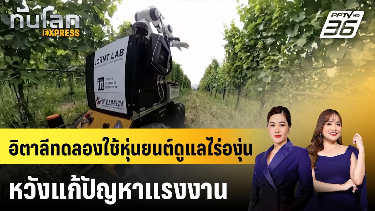 อิตาลีทดลองใช้หุ่นยนต์ดูแลไร่องุ่นหวังแก้ปัญหาแ...