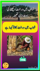 Khwab Mein Darakht Dekhna Ki Tabeer #khwabkitabeer #khwabonkitabeer #youtubeshorts #shortvideo