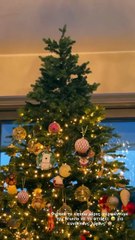 Οικονομάκου: Στόλισε με τα παιδιά της αλλά γιατί άφησε «γυμνή» την κορυφή του δέντρου;