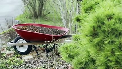 90 Day Fiancé: Happily Ever After? Season 9 Episode 18