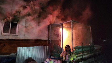 경북 성주군 돼지 축사에서 불...300마리 폐사 / YTN