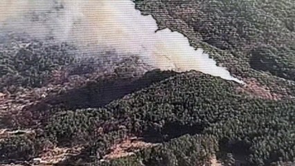 울산 울주 범서읍 야산에서 불...1㏊ 산림 소실 / YTN