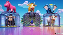 Mega Animal Slide Race 🦁🎢 | Colorful Long Slide Cartoon Game for Kids | جانوروں کی رنگین سلائیڈ ریس