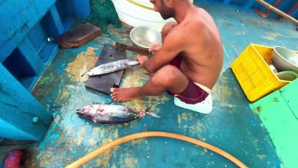 Gulf Rising Giants — A Premium Hunt for Monster Fish