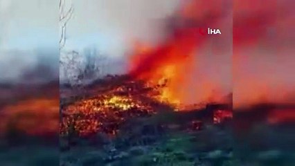 Artvin Hopa’da ziraat alanında çıkan yangın ormana sıçradı