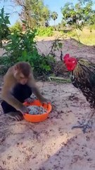 Best SokYaa, OG, Pao & Mom Are Videomous Around The World #shorts #anime #trend #edit