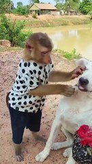 Well Best SokYaa, OG, Pao & Mom Are Famous Around The World #shorts #anime #trend #edit