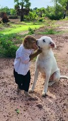 Good Job Best SokYaa, OG, Pao & Mom Are Famous Around The World #shorts #anime #trend #edit