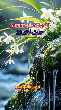 Condemnation of Slandering Chaste Believing Women – Surah An-Nur (24:23)This Quranic verse from Surah An-Nur warns against falsely accusing chaste, innocent, believing women. It states that those who commit such slander are cursed by Allah in this word