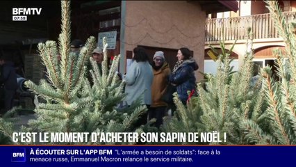 Le sapin de Noël fait son retour dans les foyers et sur les places publiques