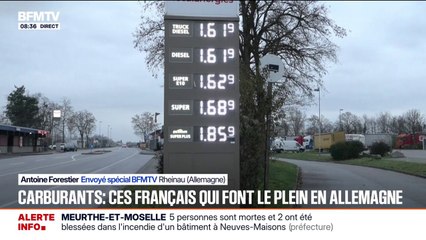 “Zootopie 2” tient ses promesses et fait le deuxième plus fort démarrage de l'année