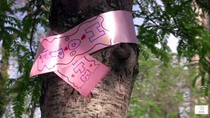 “Breast Cancer in Seniors Why Outcomes Are Better Than You Think”