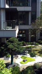 My Revenge Marriage With The Richest - Drama FULL MOVIES ENGLISH SUB