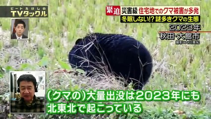 ビートたけしのＴＶタックル 2025年日11月30日