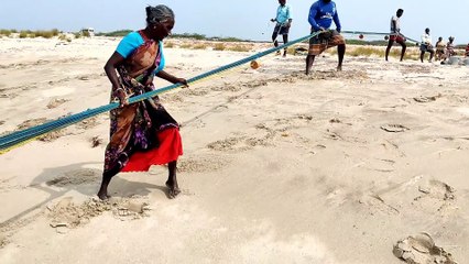 Gulf Deep Current Challenge — Hunting the Hidden Giants