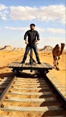 Desert Rail Adventure with Camel