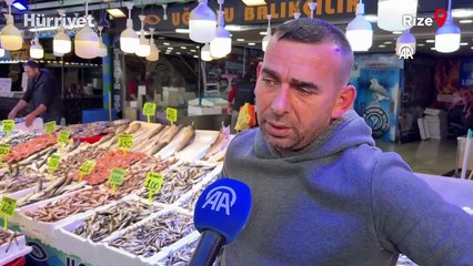 Karadeniz’de hamsi bolluğu, fiyatları dibe çekti