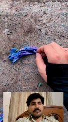 very nice back to back 🌷 🌳 🌴 🍁 🌷 viral