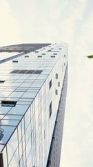 LOVE LIES AND LITTLE HEIRS