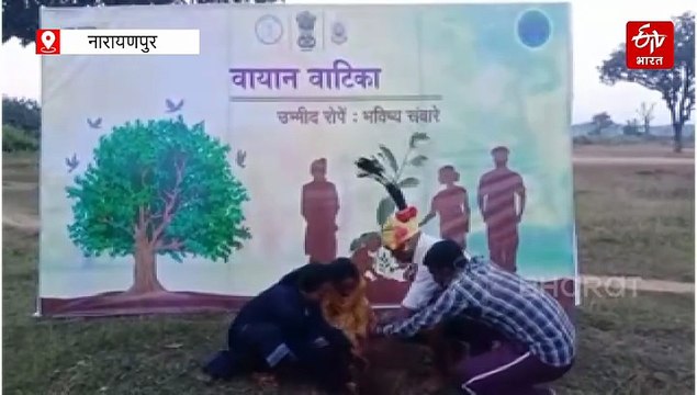 नारायणपुर मुख्यधारा में लौट चुके पूर्व नक्सलियों की नई शुरुआत, 'वायान वाटिका' में पौधारोपण