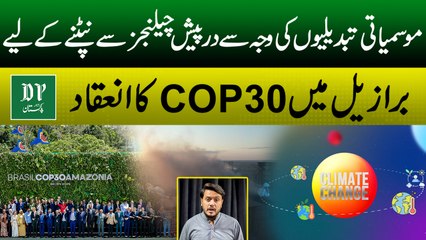 COP30 Organised in Brazil To Address the Challenges Posed by Climatic Changes | Daily Pakistan