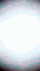 THE IMPRISONED FLOWER