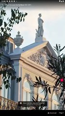 Forced To Love The Ruthless CEO Short Drama